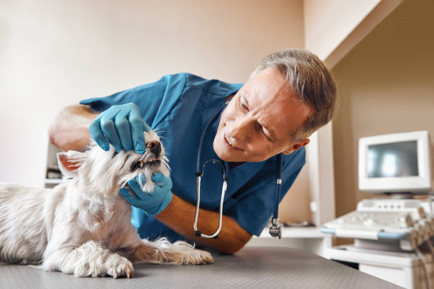 Best Emergency Tooth Extraction in Granger, TX